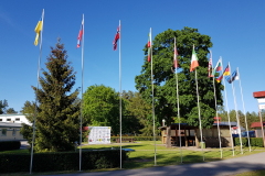 TT177K_EIO2019_03