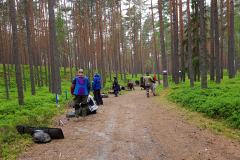 TT177K_EIO2019_08