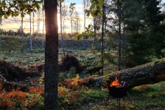 syngesygis_101720_01