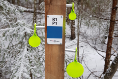 Veebruar_2018_00